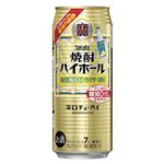 宝酒造 焼酎ハイボール強烈塩レモンサイダー割り 500ml