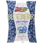 ★ノースイ ブルーベリー 500g