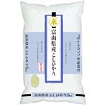 富山県産 こしひかり 5kg 【4月19日（金）～21日（日）の配送】