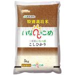 三重県産 いなべ市 いなべっこめ（特別栽培米こしひかり）5kg
