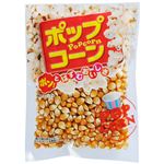 サンコク ポップコーン 150g