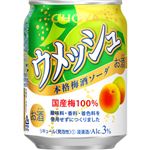 チョーヤ ウメッシュ 3％ 本格梅酒ソーダ 250ml