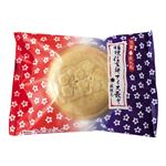 桔梗屋本店 桔梗信玄餅アイス最中 70ml