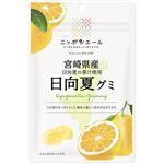 全国農協食品 ニッポンエール宮崎県産 日向夏グミ 40g