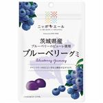 全国農協食品 ニッポンエール 茨城県産ブルーベリーグミ 40g