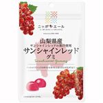 全国農協食品 山梨県産サンシャインレッドグミ 40g
