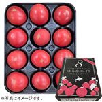 【予約】 北海道産 フルーツトマト（はるかエイト）800g1箱 【7月25日～7月29日配送】