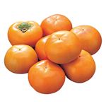 和歌山県などの国内産 たねなし柿 袋 1.0Kg