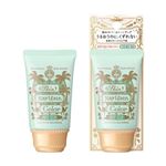 資生堂 マジョリカ マジョルカ スキンナビゲートカラー ミントグリーン 35g