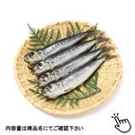 【原料原産地 国産】真いわし若干し大 4尾
