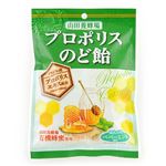 山田養蜂場 プロポリスのど飴 72g