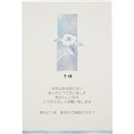 フロンティア 私製喪中はがき（冬椿）8枚入 MPC‐064