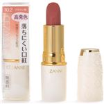 セザンヌ ラスティング リップカラーN102 ブラウン系 4.2g