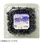 【予約】 北海道・余市町産 ブルーベリー特大パック 500g1パック 【7月25日～7月29日配送】