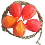 盆用品【造花】 ほおずき 5個 縄入り B－853
