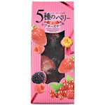 ★ベイクドアルル 5種のベリーレアチーズケーキ 1個