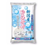 新潟産 ゆきん子舞 5kg