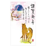 フタバ 郵政年賀パックカラー5枚入109 FP‐09