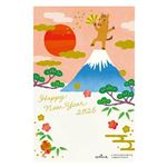 フタバ 郵政年賀パックカラー5枚入105 HMP‐01