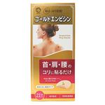 日進医療器 ゴールドエンピシン 21本