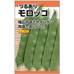 【種】ニチノウ つるありモロッコ