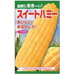 【種】ニチノウ スイートハミー