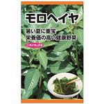【種】ニチノウ モロヘイヤ