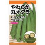 【種】ニチノウ 丸オクラ