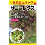 【種】日本農産種苗 ニチノウ サニーレタス（おためしパック）