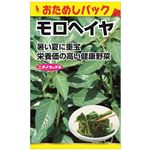 【種】ニチノウ モロヘイヤ（おためしパック）