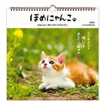 ホールマーク 2026年 壁掛け リングカレンダー大 ほめにゃんこ 845308