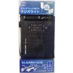 旭電機化成 スマートが使えるラジオライト ARA4301