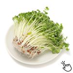 三重県 などの国内産 かいわれ大根 B12 1パック