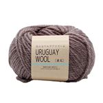 ウルグアイウールウォッシャブル 並太119（コゲチャ）