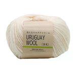 ウルグアイウールウォッシャブル 合太36（生成り）