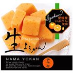 ★別子飴本舗 冷凍伊予柑生ようかん 9粒