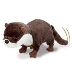 カワウソ コツメちゃん