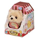 ピッコリーネ ポメラニアン