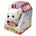 ピッコリーネ チワワ