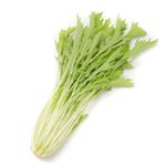 茨城県などの国内産 みず菜（少量）1袋
