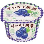 オハヨー乳業 ぜいたく果実ヨーグルト 大粒ブルーベリー 125g