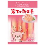 岩下食品 岩下の新生姜 100g