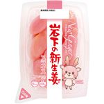 岩下食品 岩下の新生姜スライス 60g