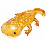 【プール用品】オオサンショウウオフロート