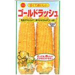 【種】アタリヤ農園 とうもろこしゴールドラッシュ