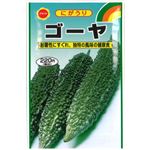 【種】アタリヤ農園 にがうり ゴーヤ