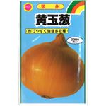 【種】アタリヤ農園 泉州黄玉ねぎ