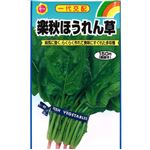 【種】アタリヤ農園 楽秋ほうれん草