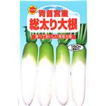 【種】アタリヤ農園 青首宮重総太り大根