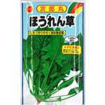 【種】アタリヤ農園 次郎丸ほうれん草